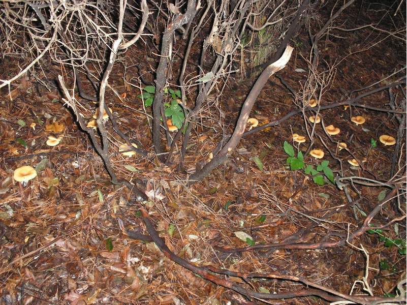 ....il seguito di domenica 2